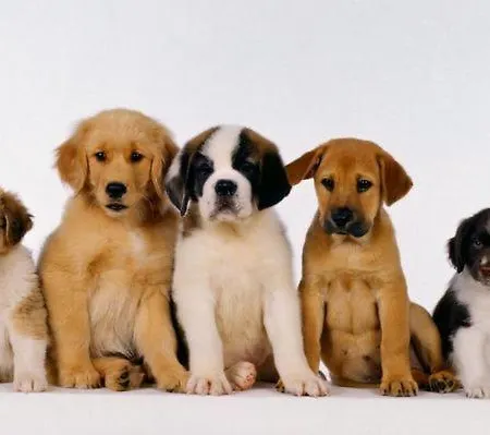 Hotel Berghof Mitterberg Grobming