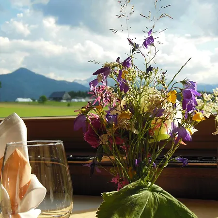 Berghof Mitterberg Hotel Grobming