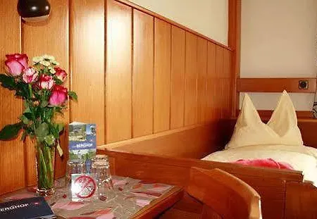 Berghof Mitterberg 호텔