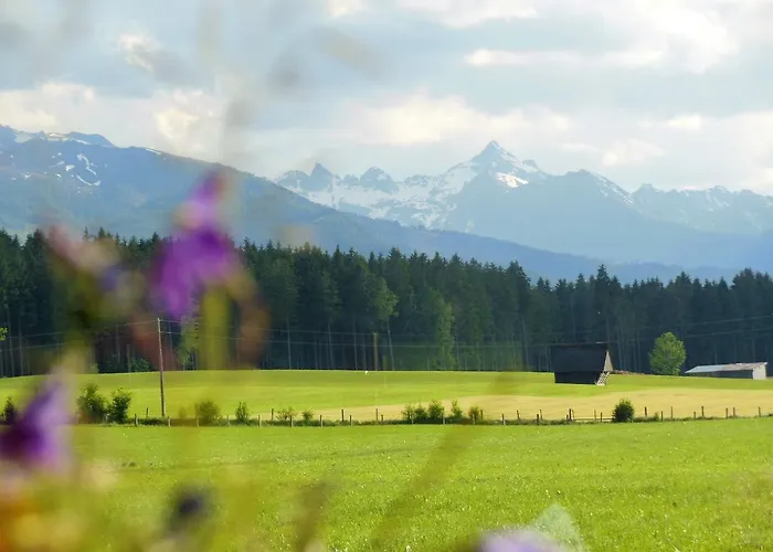 Berghof Mitterberg Hotel